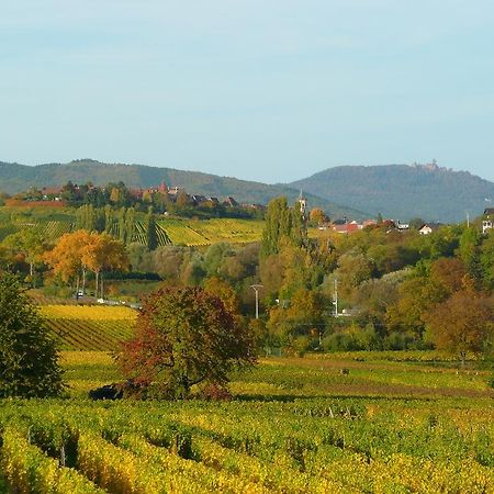 Le Gm Chambres D'Hotes De Charme En Alsace Mittelwihr Exteriör bild