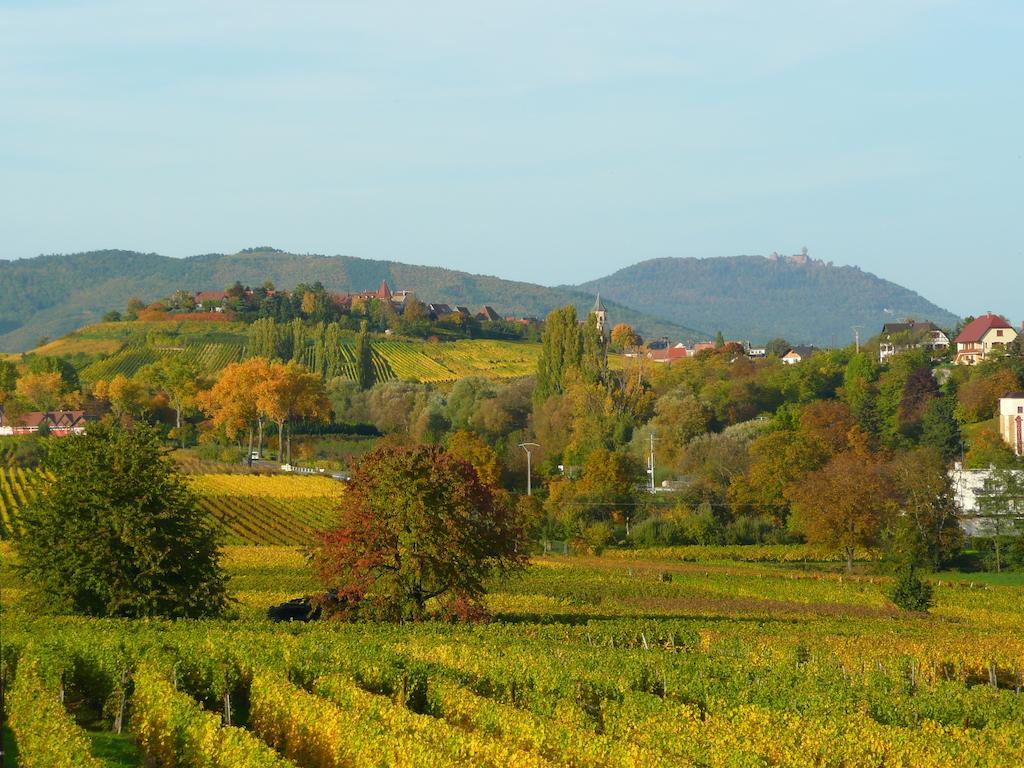 Le Gm Chambres D'Hotes De Charme En Alsace Mittelwihr Exteriör bild
