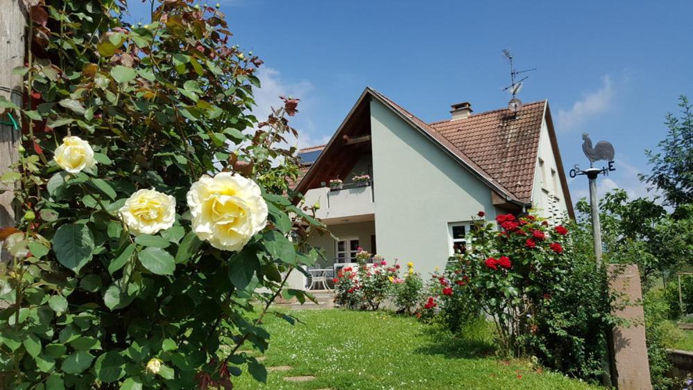 Le Gm Chambres D'Hotes De Charme En Alsace Mittelwihr Exteriör bild